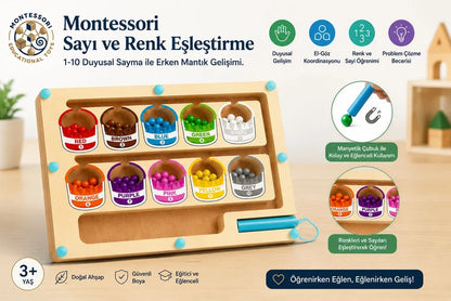 Manyetik Ahşap Sayılar Ve Renkler Labirenti
