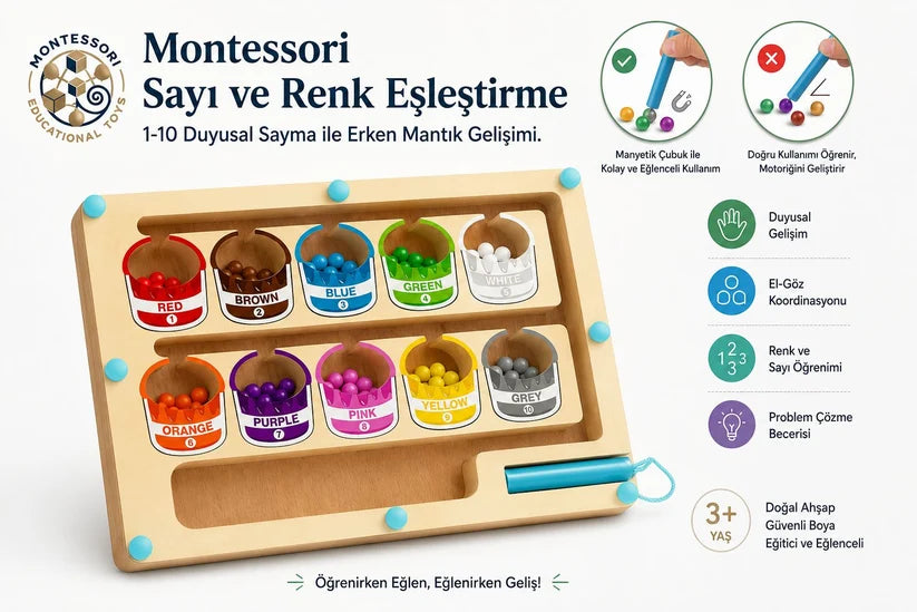 Manyetik Ahşap Sayılar Ve Renkler Labirenti