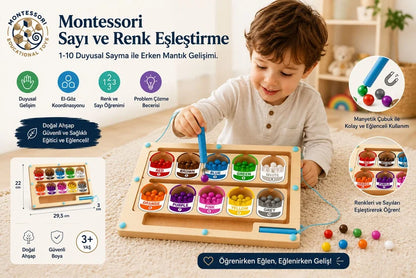 Manyetik Ahşap Sayılar Ve Renkler Labirenti